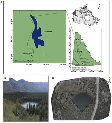 Postglacial Reconstruction of Fire History Using Sedimentary Charcoal and Pollen From a Small Lake in Southwest Yukon Territory, Canada